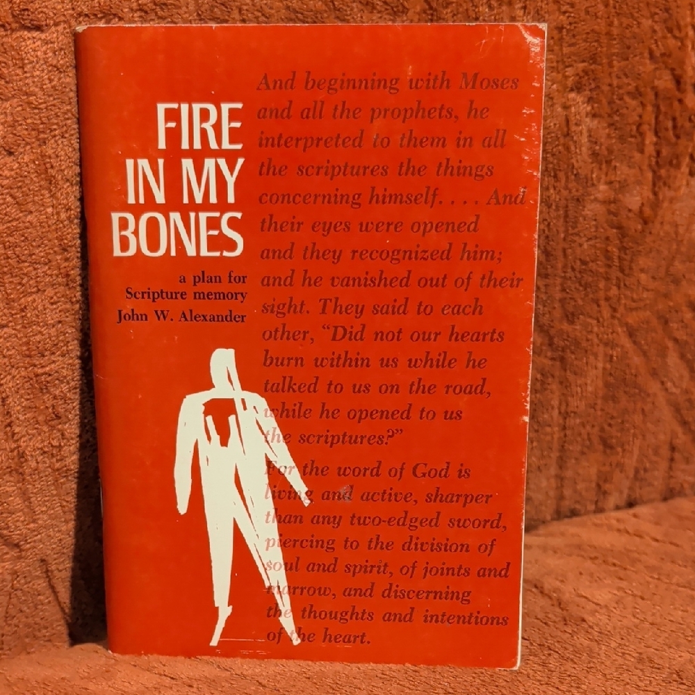 Fire In My Bones Book